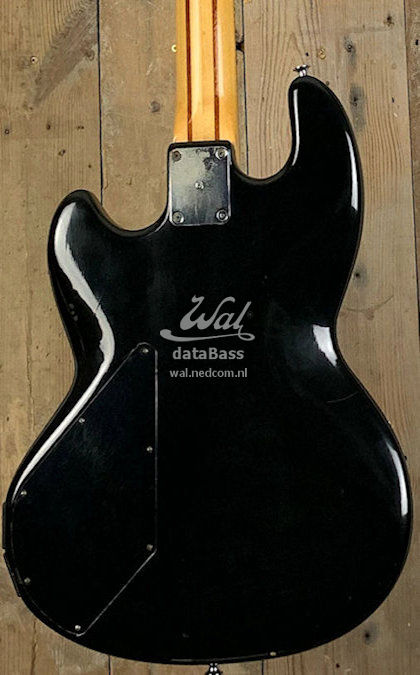 PB1155.body-rear.jpg