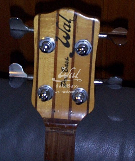 PB1164.headstock-front-org.jpg