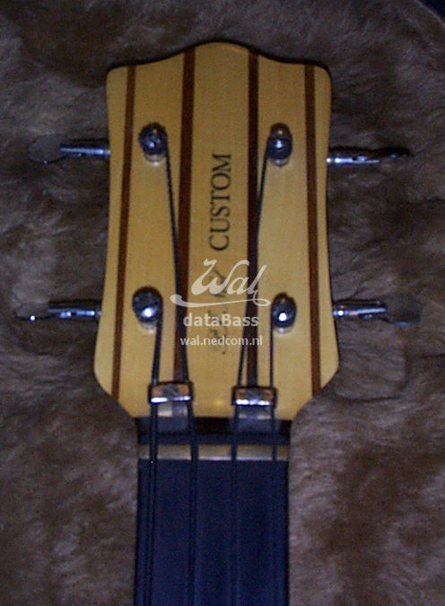 PB1164.headstock-new.jpg