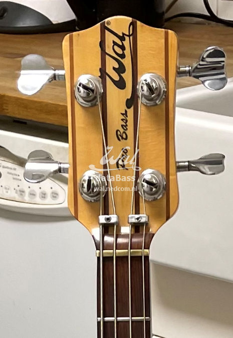 PB1166.headstock-front.jpg