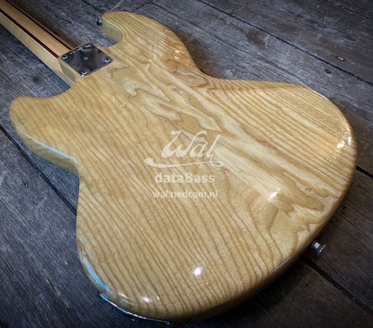 PB1309.body-rear.jpg