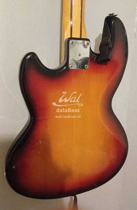 PB1322.body-rear.jpg