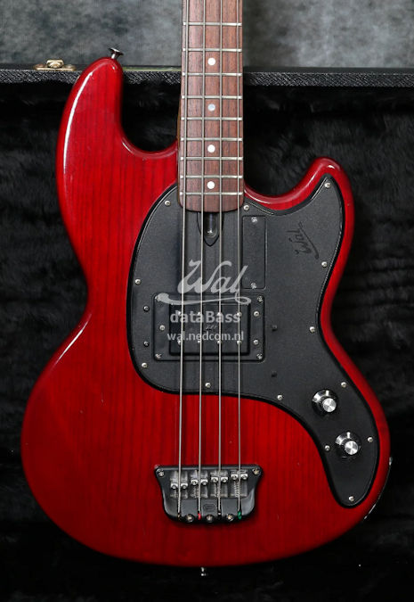 PB1399.body-front.jpg