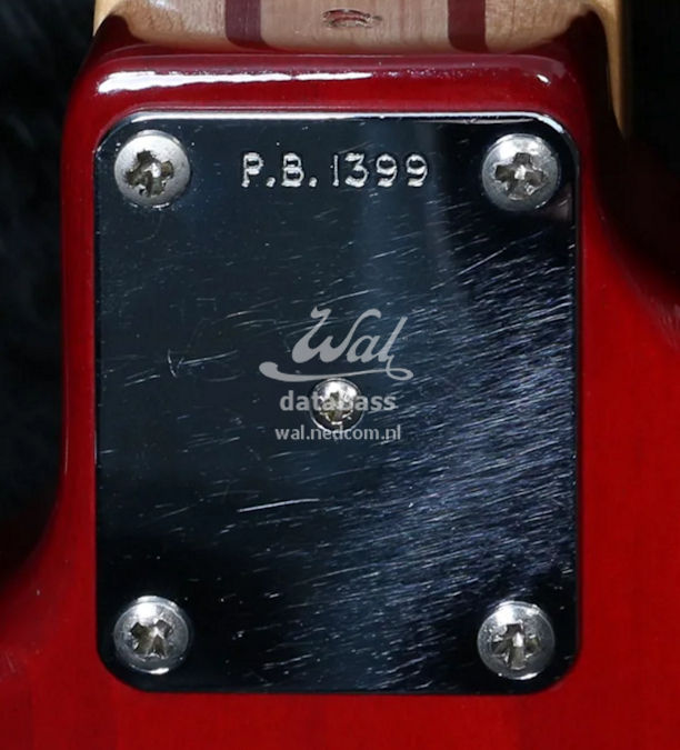 PB1399.neckplate.jpg