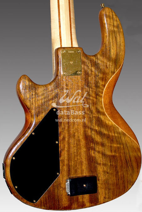 PB1476.body-rear.jpg