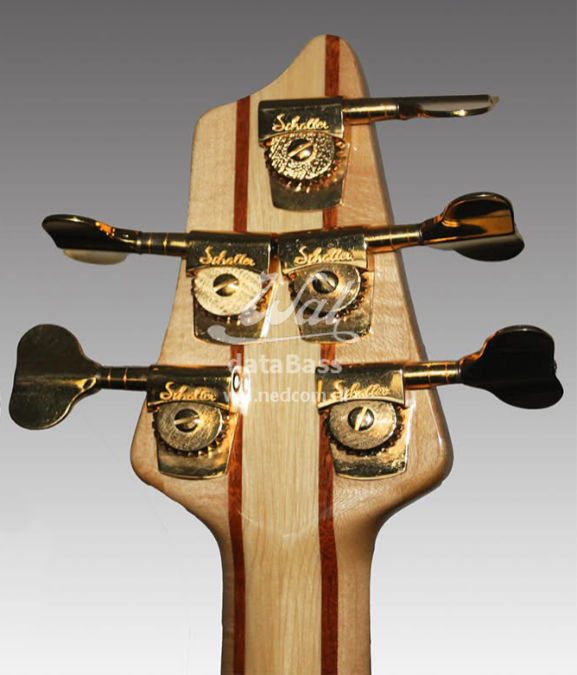 PB1476.headstock-rear.jpg