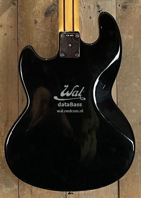 PB1477.body-rear.jpg