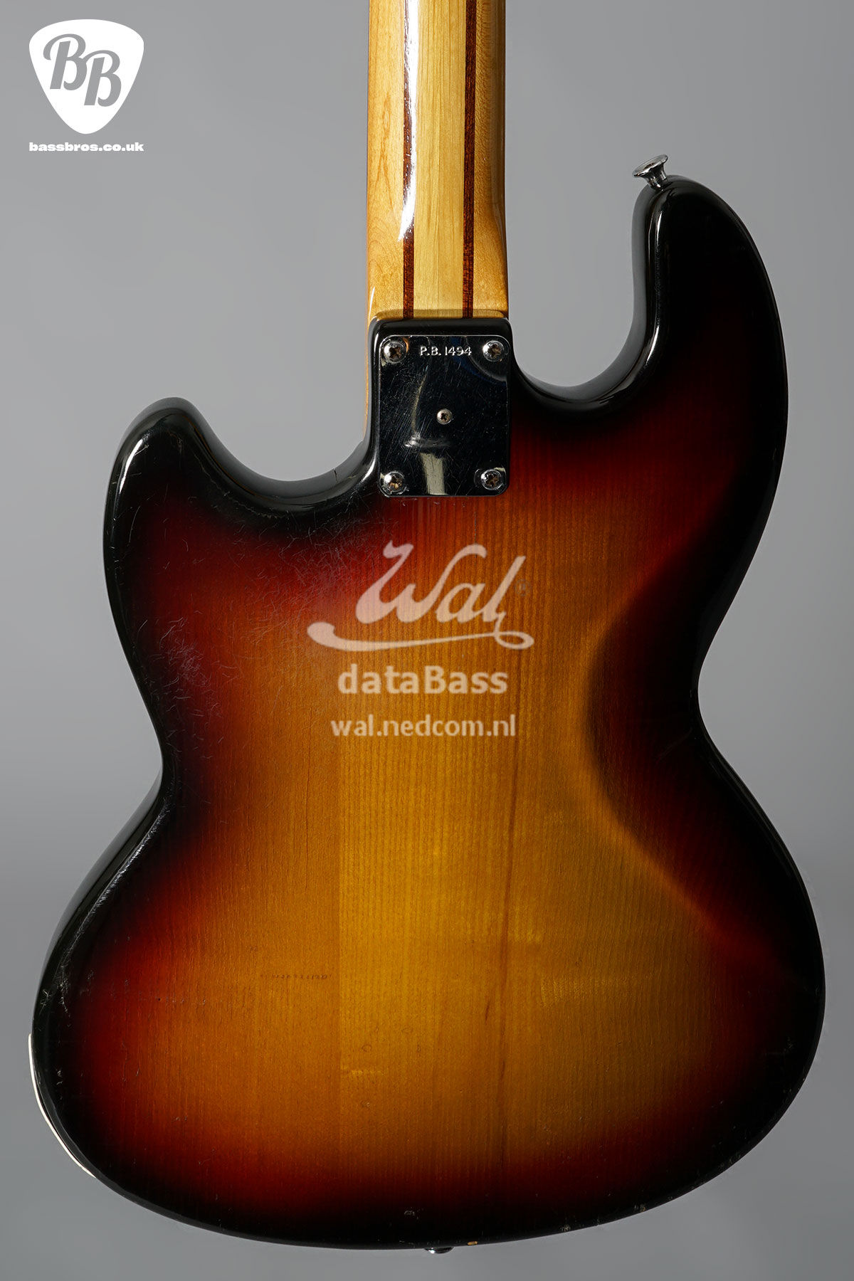 PB1494.body-rear.jpg