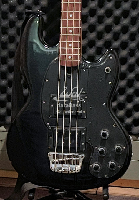 PB1503.body-front.jpg