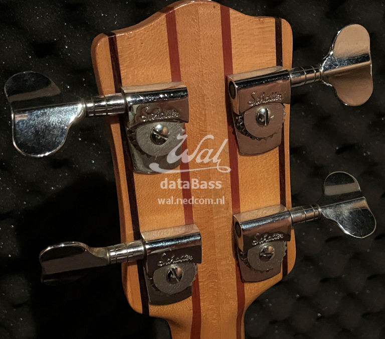 PB1503.headstock-rear.jpg