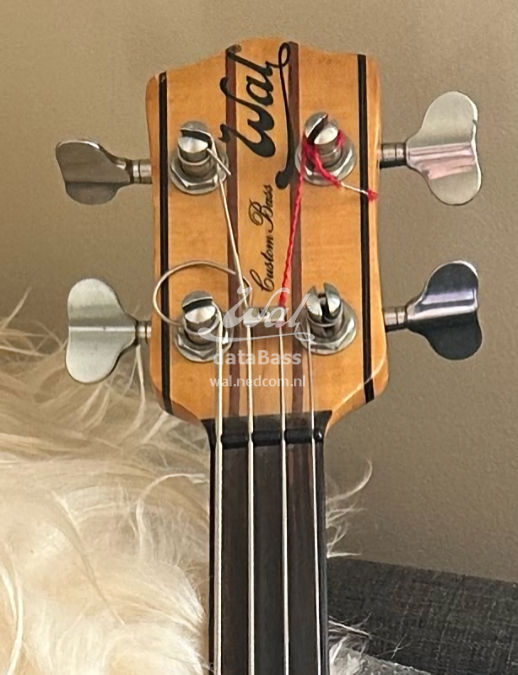 PB1630.headstock-front.jpg