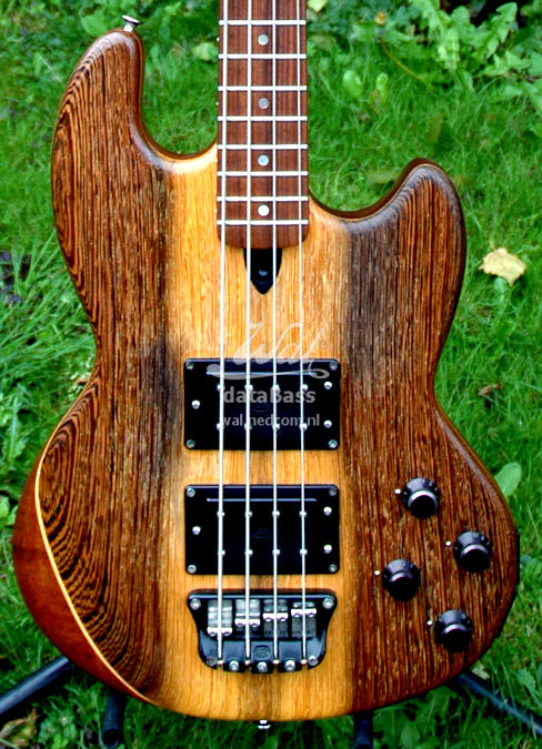 PB1790.body-front.jpg