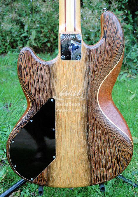 PB1790.body-rear.jpg