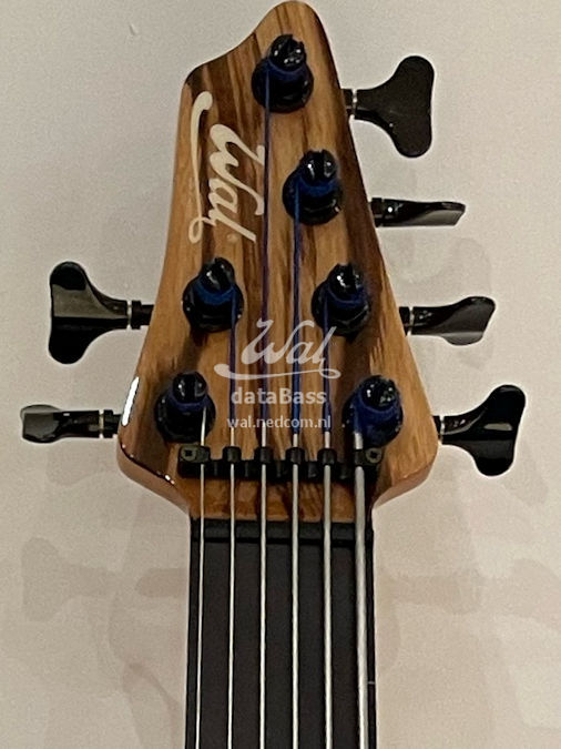 W200722.headstock-front.jpg