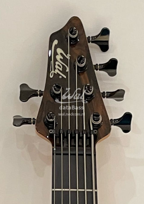 W200725.headstock-front.jpg
