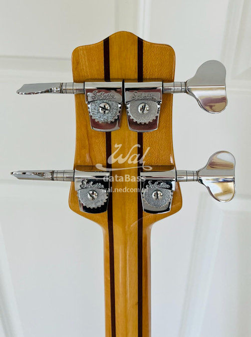 W2040.headstock-rear.jpg