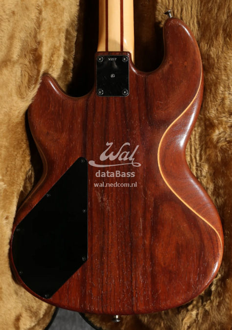 W2117.body-rear.jpg