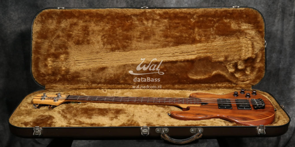 W2117.in-case.jpg