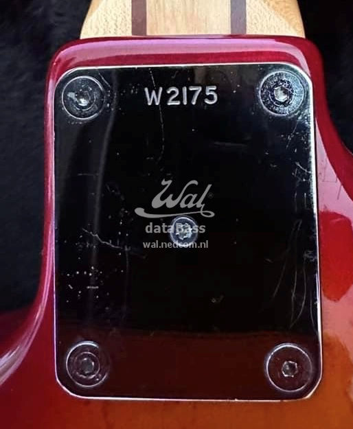 W2175.neckplate.jpg