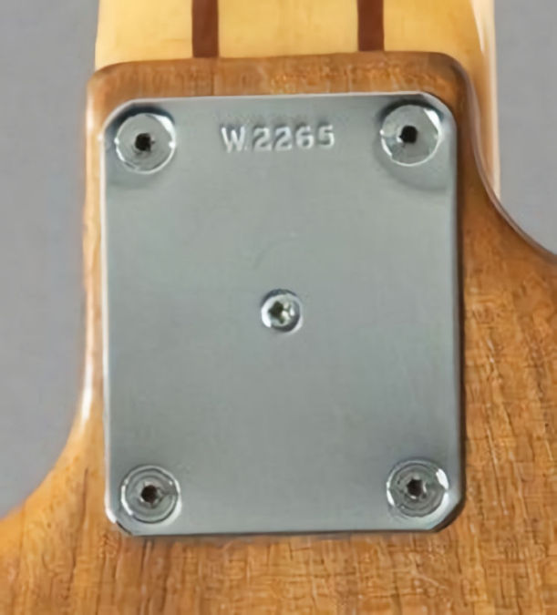 W2265.neckplate.jpg
