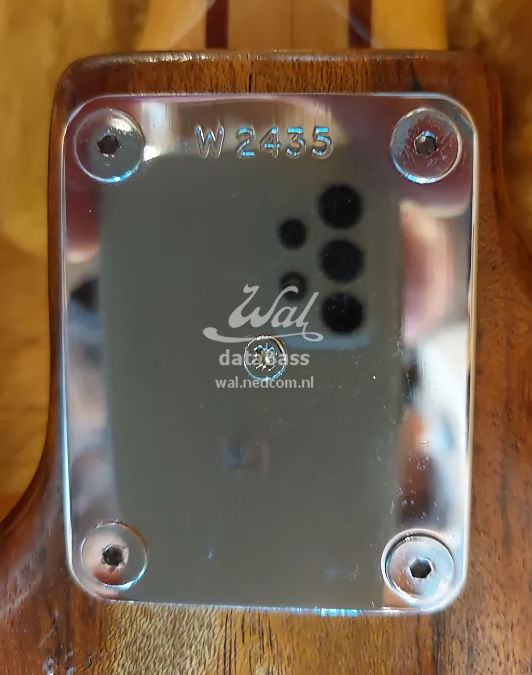 W2435.neckplate.jpg
