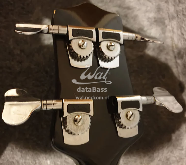 W2436.headstock-rear.jpg