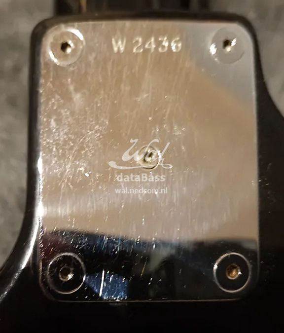 W2436.neckplate.jpg