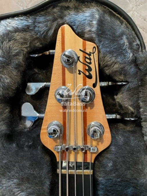 W2533.headstock-front.jpg