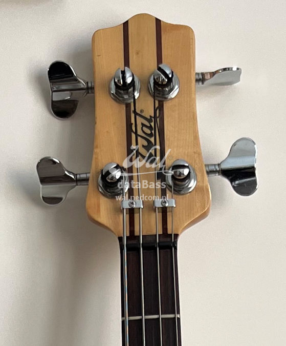 W2556.headstock-front.jpg