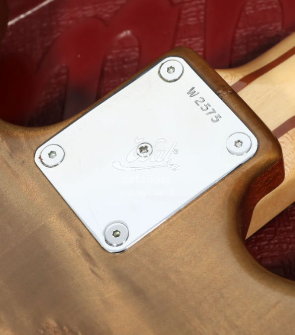 W2575.neckplate.jpg