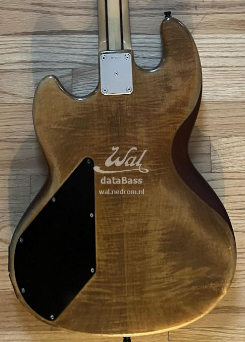 W2673.body-rear.jpg