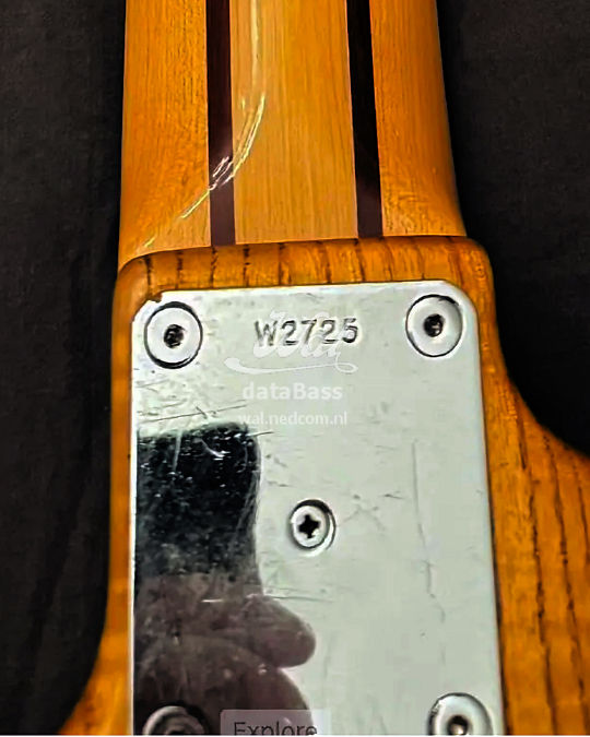 W2725.neckplate.jpg