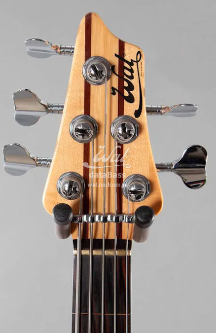 W2756.headstock-front.jpg