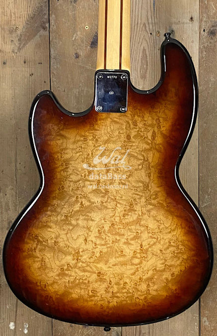 W2770.body-rear.jpg