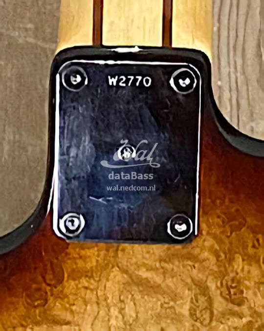 W2770.neckplate.jpg