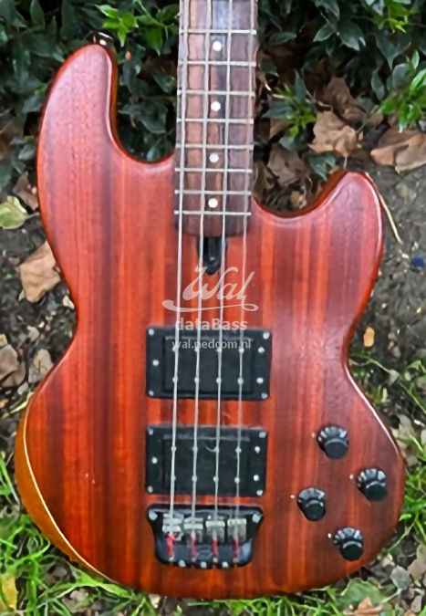 W2787.body-front.jpg
