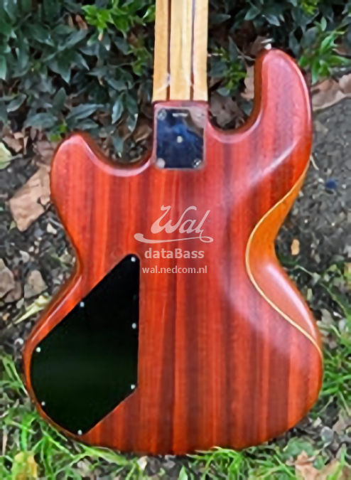 W2787.body-rear.jpg