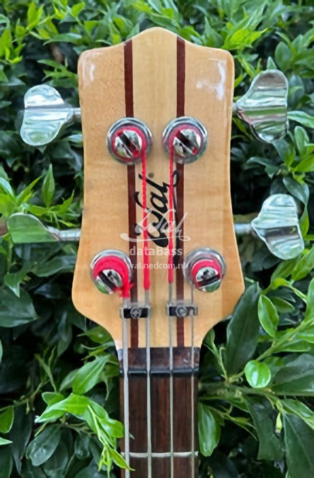 W2787.headstock-front.jpg
