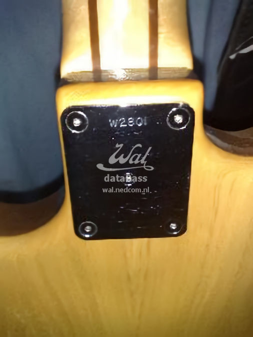W2801.neckplate.jpg
