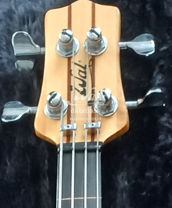 W2813.headstock-front.jpg