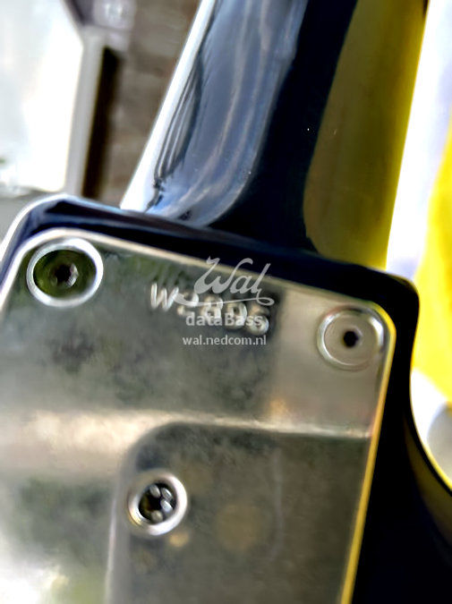 W2896.neckplate.jpg