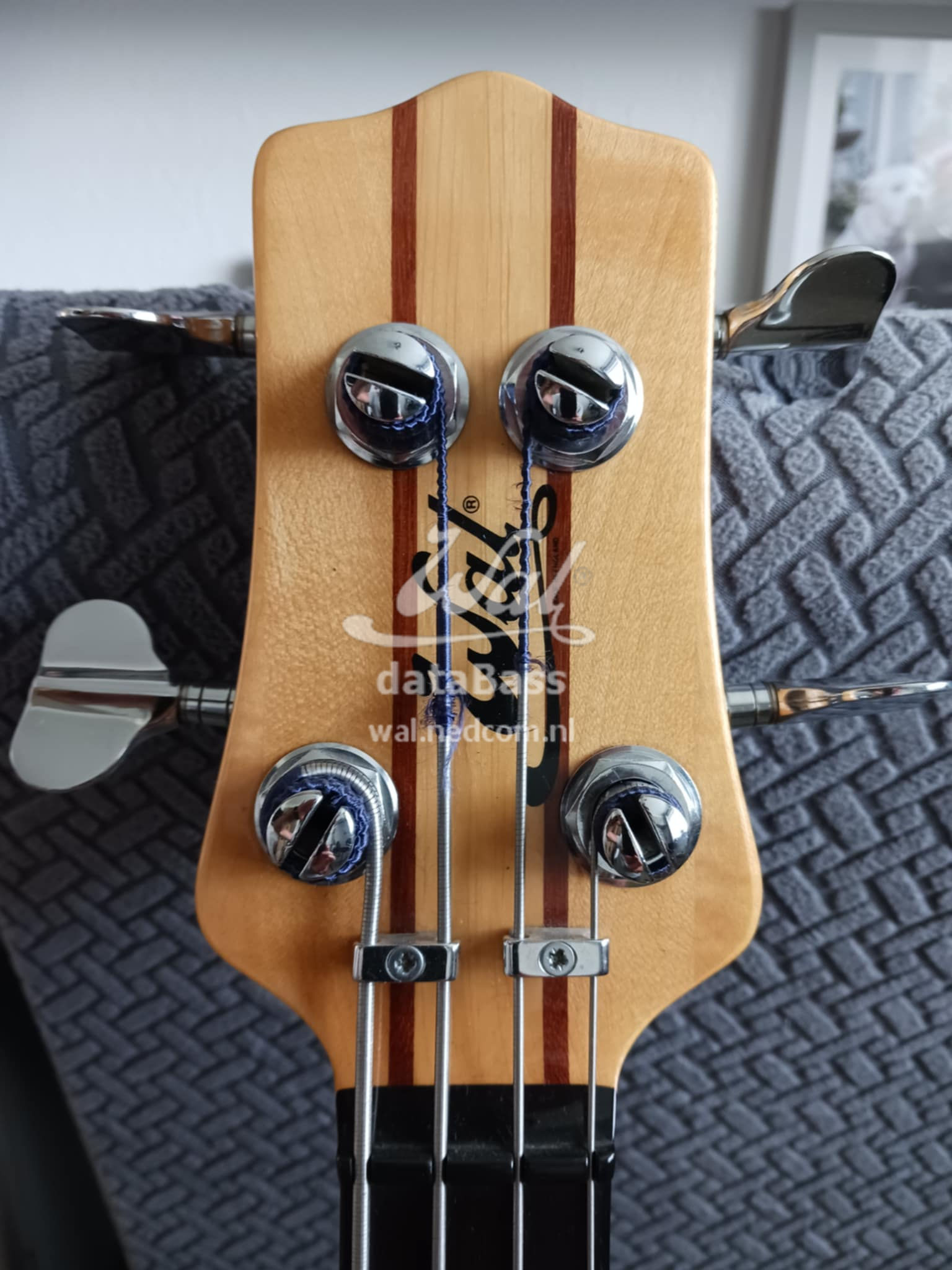 W3065.headstock-front.jpg