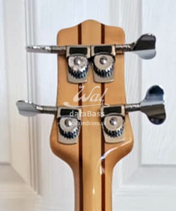W3065.headstock-rear.jpg