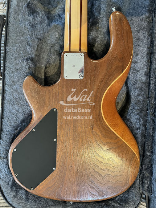 W3071.body-rear.jpg