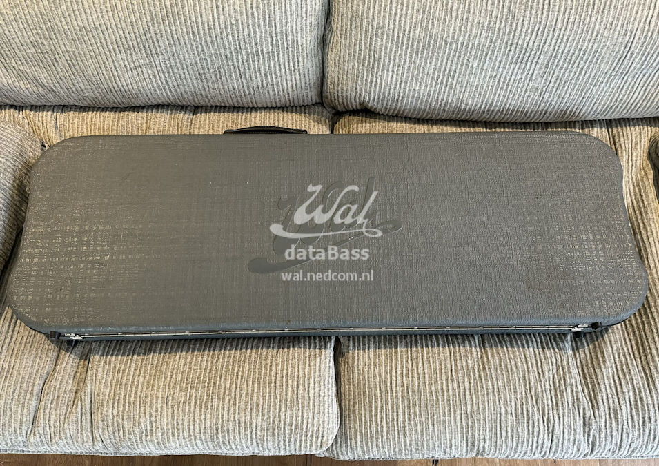 W3071.case.jpg