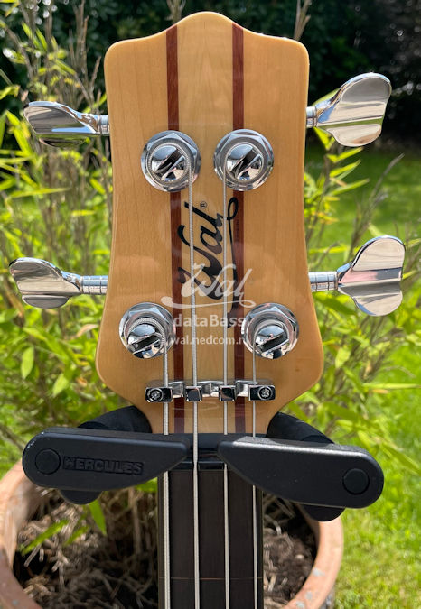 W3146.headstock-front.jpg