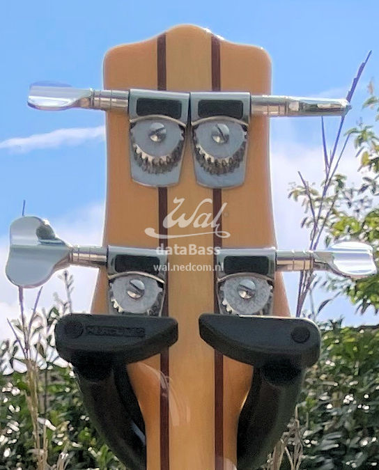 W3146.headstock-rear.jpg
