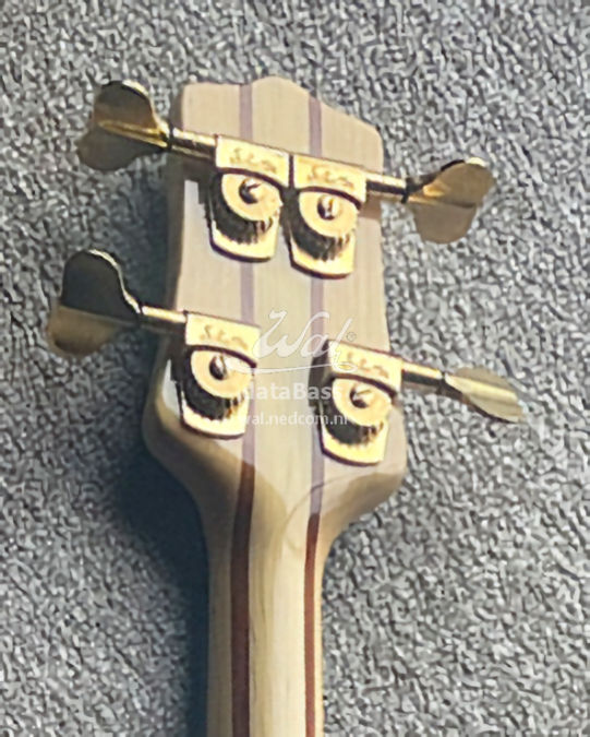 W3413.headstock-rear.jpg