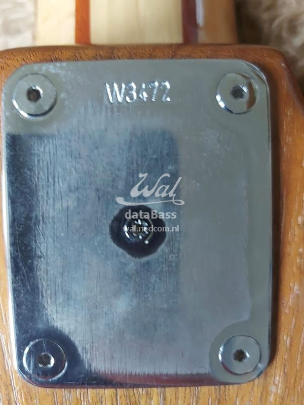 W3472.neckplate.jpg