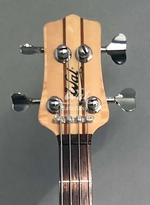 W3542.headstock-front.jpg